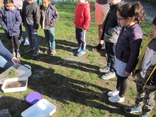 2019-03-Autour-de-l-eau-017