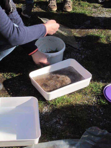 2019-03-Autour-de-l-eau-018