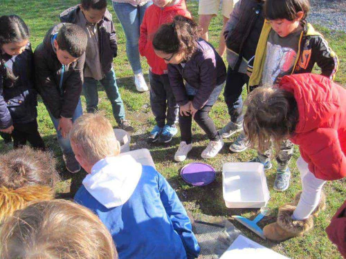 2019-03-Autour-de-l-eau-019