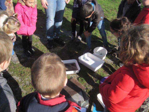 2019-03-Autour-de-l-eau-020