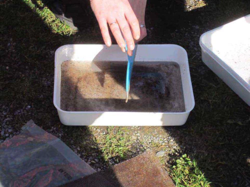 2019-03-Autour-de-l-eau-021