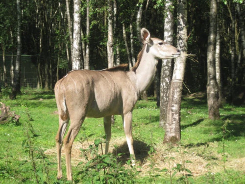 2019-10-Le-Monde-Sauvage-d-Aywaille-001