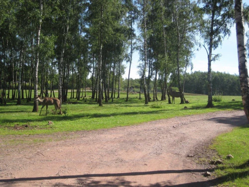 2019-10-Le-Monde-Sauvage-d-Aywaille-002