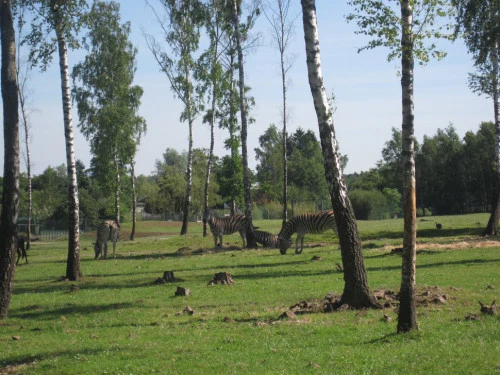 2019-10-Le-Monde-Sauvage-d-Aywaille-003