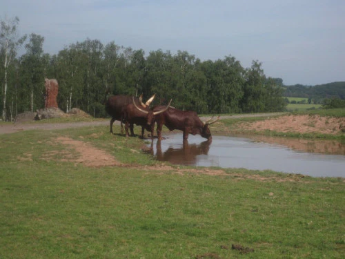 2019-10-Le-Monde-Sauvage-d-Aywaille-004