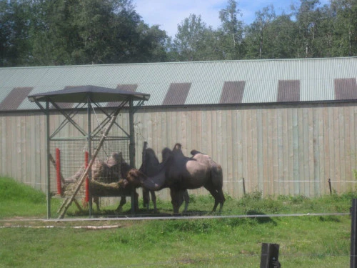 2019-10-Le-Monde-Sauvage-d-Aywaille-005