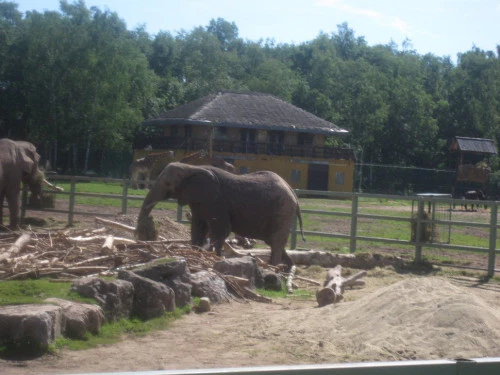 2019-10-Le-Monde-Sauvage-d-Aywaille-007