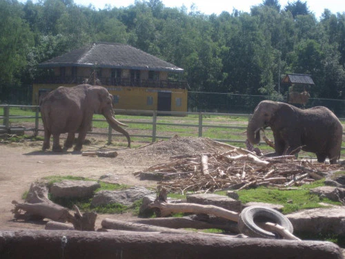 2019-10-Le-Monde-Sauvage-d-Aywaille-008