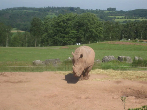 2019-10-Le-Monde-Sauvage-d-Aywaille-010