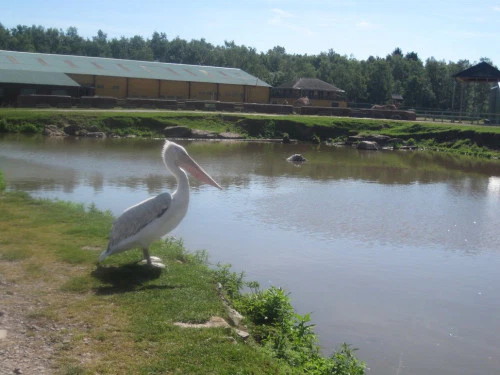 2019-10-Le-Monde-Sauvage-d-Aywaille-011