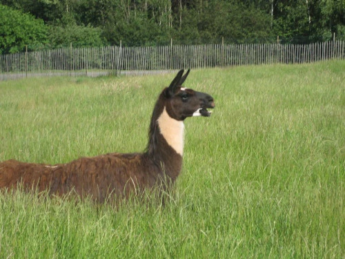 2019-10-Le-Monde-Sauvage-d-Aywaille-012