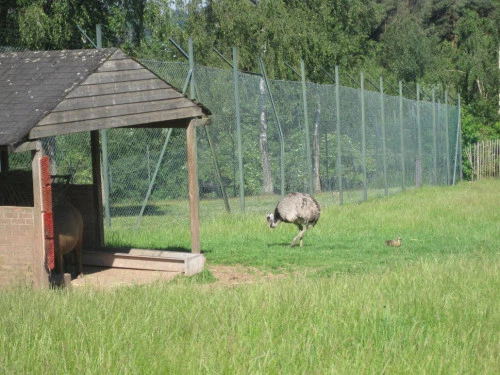 2019-10-Le-Monde-Sauvage-d-Aywaille-013