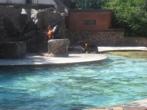 2019-10-Le-Monde-Sauvage-d-Aywaille-015