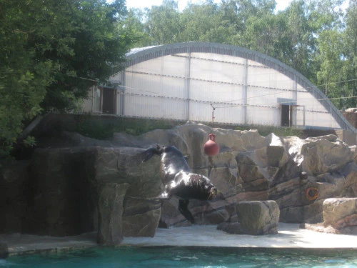 2019-10-Le-Monde-Sauvage-d-Aywaille-016