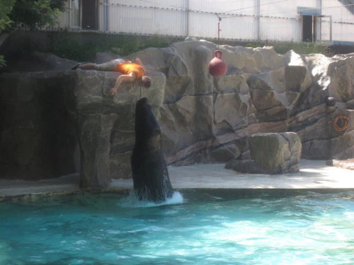 2019-10-Le-Monde-Sauvage-d-Aywaille-017