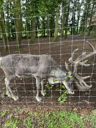 2024-07-Sortie-Forestia-2024-07-Forestia01