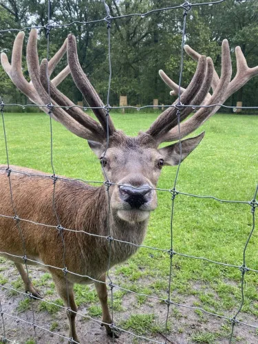 2024-07-Sortie-Forestia-2024-07-Forestia04