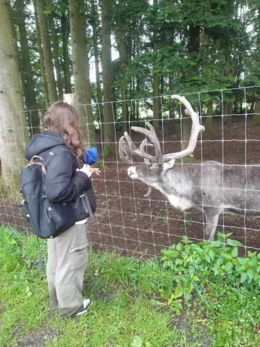 2024-07-Sortie-Forestia-2024-07-Forestia07