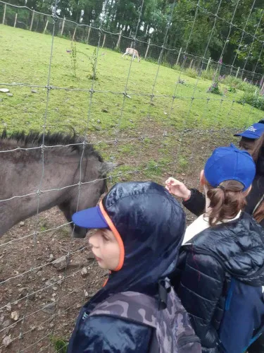 2024-07-Sortie-Forestia-2024-07-Forestia08