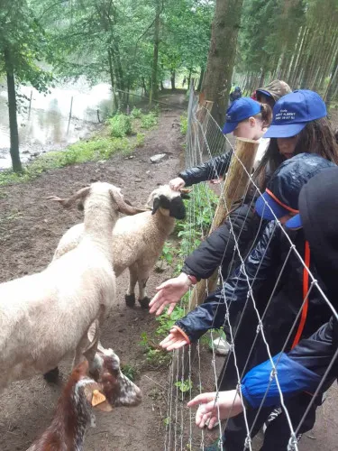 2024-07-Sortie-Forestia-2024-07-Forestia10