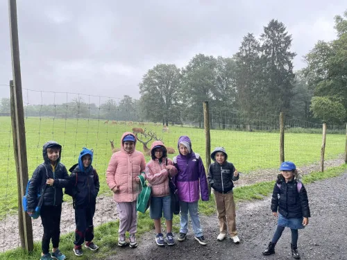 2024-07-Sortie-Forestia-2024-07-Forestia15