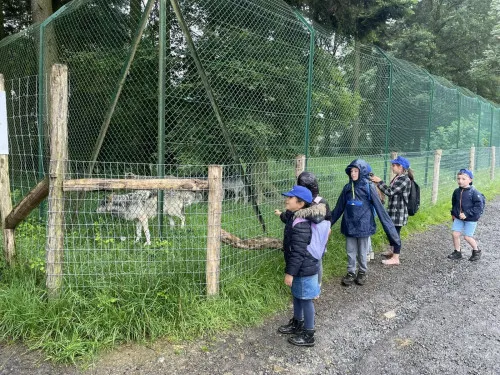 2024-07-Sortie-Forestia-2024-07-Forestia17