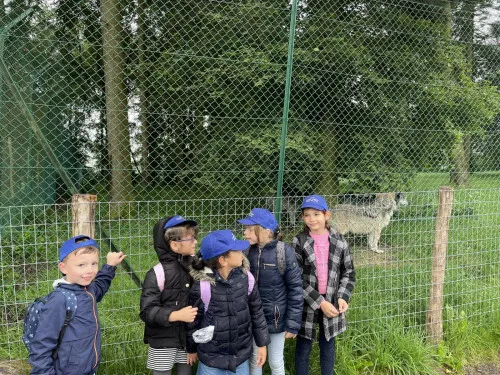 2024-07-Sortie-Forestia-2024-07-Forestia20