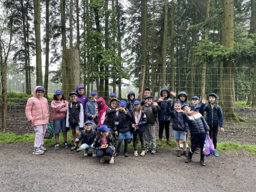 2024-07-Sortie-Forestia-2024-07-Forestia21